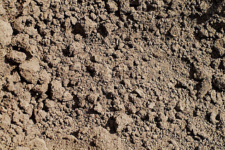 Пескогрунт